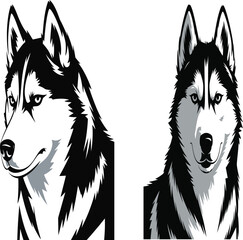 Two husky dogs with different expressions