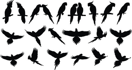 Parrot silhouette, flying parrot, perched parrot, tropical bird, exotic wildlife, bird shapes, vector birds, black parrot icons, avian poses, parrot flight © Joyaber's World