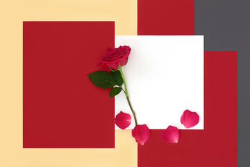 Love letter, rose flower, petals for Valentines Day on red, gray, cream, white geometric background. Romantic Valentine design for handwritten note.  