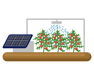 Solar Powered Greenhouse Irrigation System