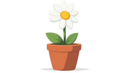 Blooming Beauty: A daisy flower in a pot, showcasing its pristine white petals and vibrant yellow center, evoking feelings of purity and joy.