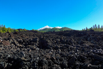 Chinyero nature reserve at Tenerife with a snowy El Teide on the background. Rugged volcanic landscape characterized by dark, jagged lava rocks stretches across Chinyero Nature Reserve in Tenerife