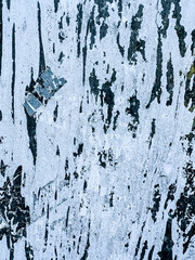 High Resolution on Cement and Concrete texture for pattern and background.