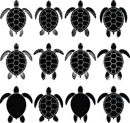 Fototapeta premium Nine black and white sea turtles with detailed shells and flippers 1