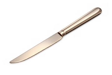 Stainless steel table knife for dinner service, restaurant cutlery, catering, and kitchenware, transparent background