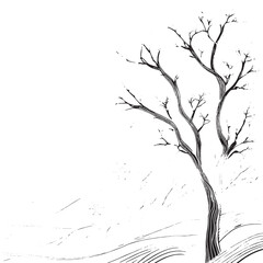 Obraz premium winter landscape with trees