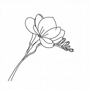Single line drawing of a freesia flower with leaves  