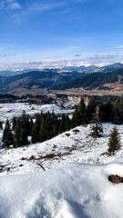 A frosted Carpathian landscape whispers of winter solstice magic and hidden Transylvanian legends, inviting alpine serenity seekers
