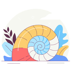 Obraz premium A colorful seashell with a spiral design against a white background