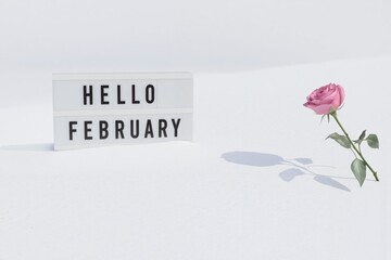 hello february, a rose and a sign