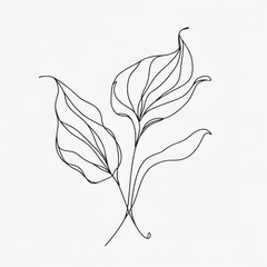 Elegant line drawing of two leaves on a minimalistic background  