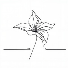 Continuous line drawing of a flower in minimalist style  