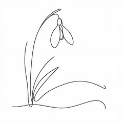 Minimal line drawing of a snowdrop flower on white background  