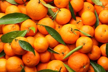 Many fresh ripe tangerines with green leaves and water drops as background, top view