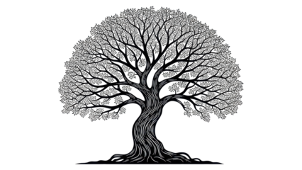 Detailed tree illustration on