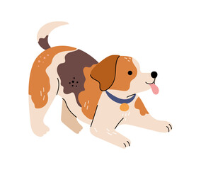 Cute canine character, isolated domesticated puppy. Vector in flat style, isolated beagle breed of dogs, human companion and best friend. Pup with collar and name, tricolor fur patterns