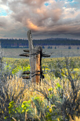 Barbed Wire Wrapped Fence Post