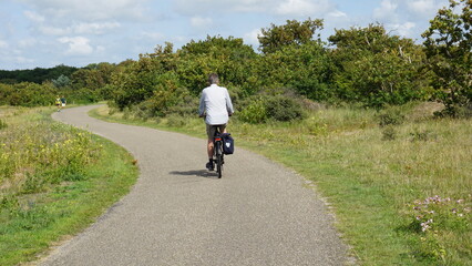 Obraz premium Fahrradwege und Schafe in den Dünen