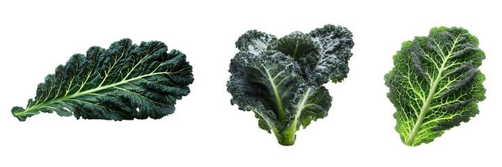 Three Kale Leaves on Black isolated on a transparent background