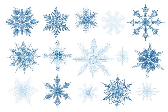 An arrangement of various detailed, icy blue and white watercolor snowflakes on black - Powered by Adobe