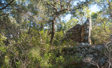 Fototapeta premium Remains of building walls in the ruins of the ancient city of Phaselis in Lycia in modern Turkey.
