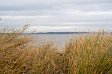 Fototapeta premium Across the Firh, Nairn, Scotland.