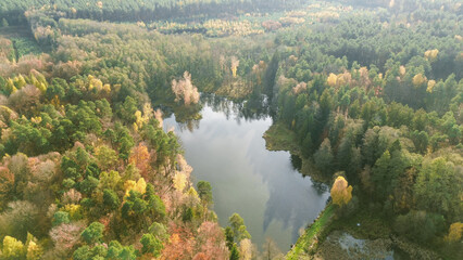Water reflection of autumn forest in calm lake