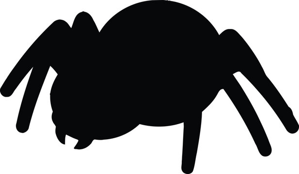 Black spider silhouette crawling with big round body and eight creepy legs looking scary and spooky for halloween decoration or arachnophobia symbol in horror themes and nature design.