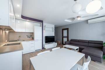 Modern Open Concept Living Room and Kitchen Design With Contemporary Furniture