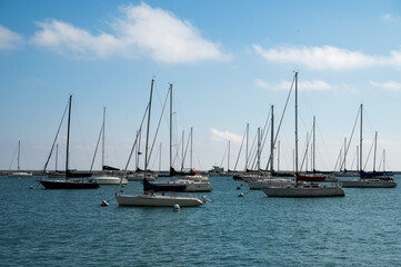 sailboats in the harbor