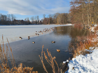 Der Hermann-L&ouml;ns-Park in Hannover ist im Winter eine
ruhige, klare M&auml;rchenlandschaft