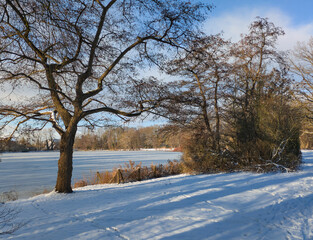 Der Hermann-L&ouml;ns-Park in Hannover ist im Winter eine
ruhige, klare M&auml;rchenlandschaft