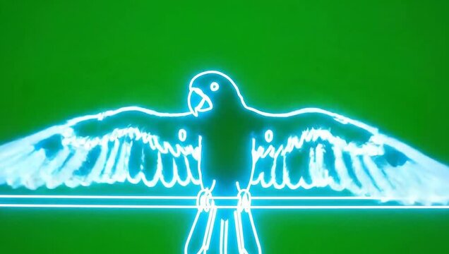 Neon blue parrot silhouettes on green background with glowing lines futuristic abstract video animation with digital and bird and avian and light and electric and vibrant