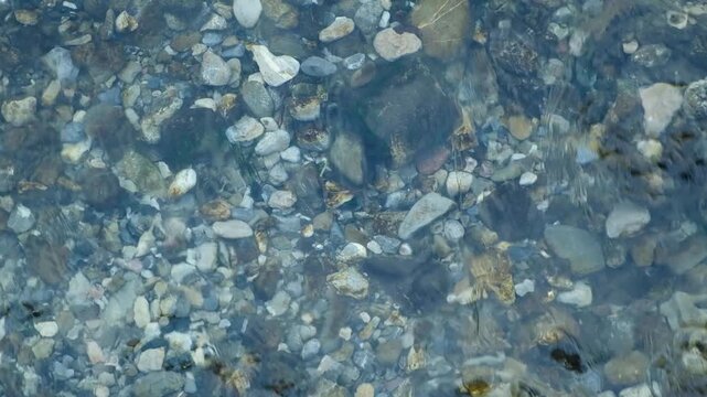 Close up of clear water flowing over stones in winter river slow motion