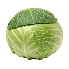 Fototapeta premium A fresh green cabbage round shape detailed texture on transparent background