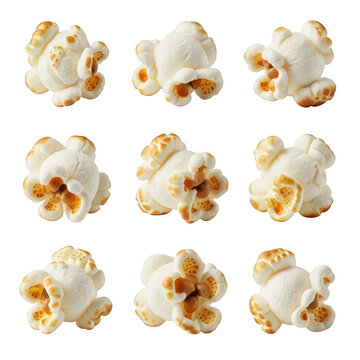 Nine pieces of fluffy golden popcorn arranged in a grid on transparent background