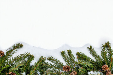 Evergreen winter border with pinecones and frosty needles