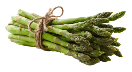 A bunch of vibrant green stalks, tied together with twine, isolated on black