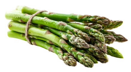 A bundle of fresh, green asparagus spears tied together with twine, isolated on black (1)