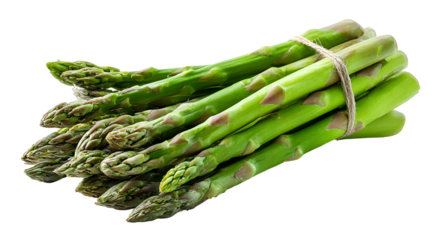 A bundle of fresh, green asparagus spears tied together with twine, isolated on black