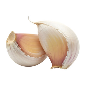 Two garlic cloves one partially peeled showing inner layers on transparent background