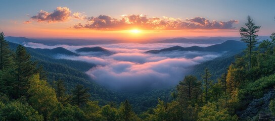 Golden sunrise over misty mountain range, with green forests and a sea of clouds filling the valleys