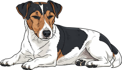 Parson Russell Terrier dog lying down relaxed sleepy vector illustration