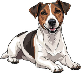 Parson Russell Terrier dog lying down relaxed facing front illustration