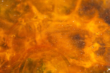 Abstract Marine Background with Translucent Jellyfish and Seaweed, Macro Texture of Orange Jellyfish Floating in Coastal Tide Pool