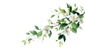 Watercolor painting of a floral arrangement with white flowers and green leaves