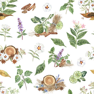 Botanical seamless pattern of the detailed watercolor illustrations of the fragrant plants and flowers: patchouli, flowering tobacco, tobacco leaves, sandalwood, rockrose, anise, bergamot, vetiver