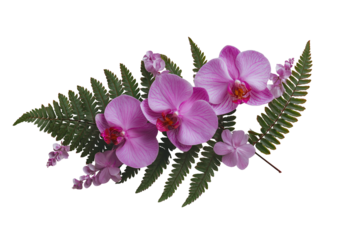 Pink orchids, small flowers, and green fern foliage arranged against a black background
