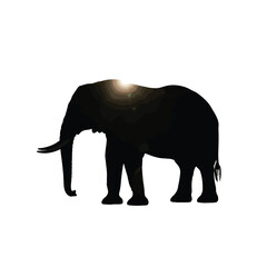 Fototapeta premium Silhouette of an Elephant with Sun Flare