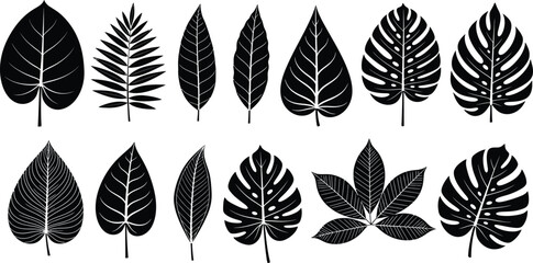 Tropical Leaf Silhouettes Collection © Jobax